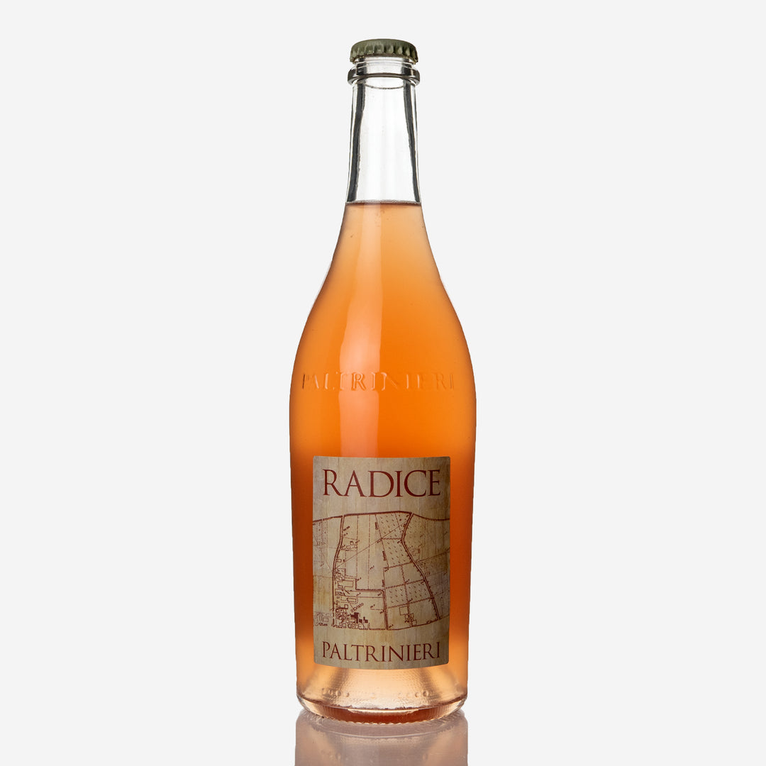 Paltrinieri Lambrusco di Sorbara 'Radice' 2021